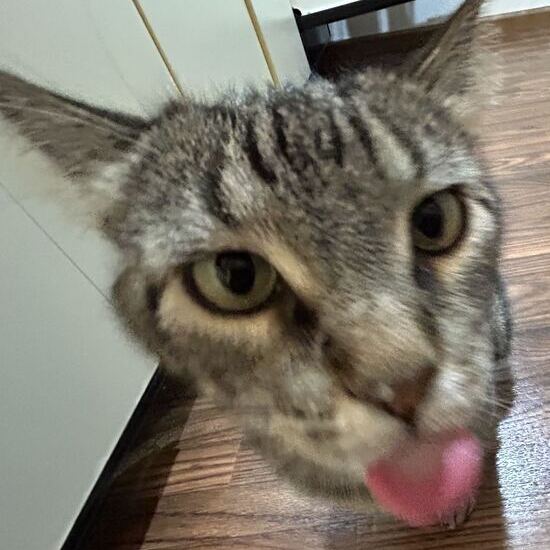 WALTER